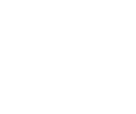 AntsBase